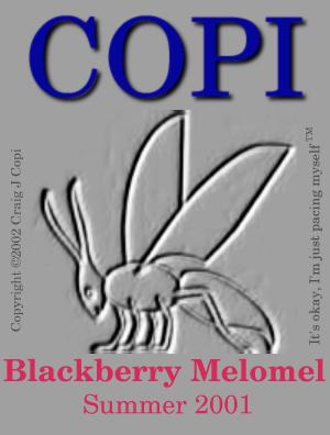 Blackberry Melomel front labelimage